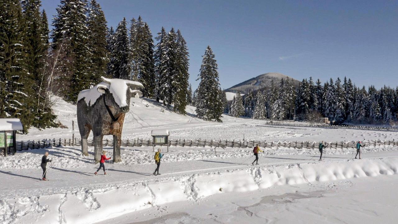 Schneelandschaft mit fünf Langläufern