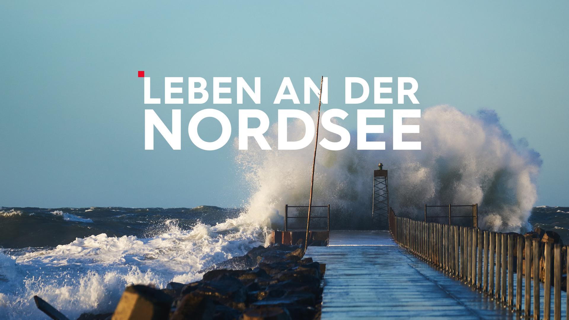 Teaser Leben an der Nordsee