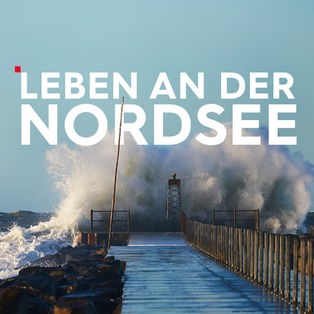 Teaser Leben an der Nordsee