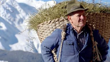 Bergbauer in Brandberg