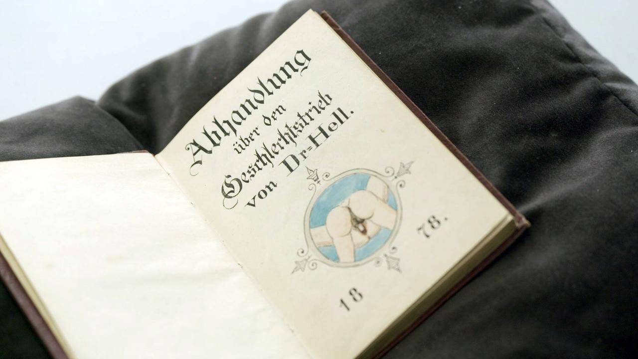 Das Bild zeigt eine aufgeschlagene Buchseite, die sich auf einem dunklen, gepolsterten Untergrund befindet. Der Titel der Buchseite ist in geschwungener Schrift verfasst: "Abhandlung über den Geschlechtstrieb von Dr. Hell". Unter dem Titel befindet sich eine Illustration, die zwei Hände zeigt, die ein stylisiertes Symbol von unterem Körperbereich umschließen. Am unteren Rand der Seite sind die Zahlen "18" und "78" abgedruckt, was auf das Veröffentlichungsdatum im Jahr 1878 hinweisen könnte. Der Stil des Buches ist klassisch, und die Seite ist insgesamt in einem neutralen, hellen Farbton gehalten.