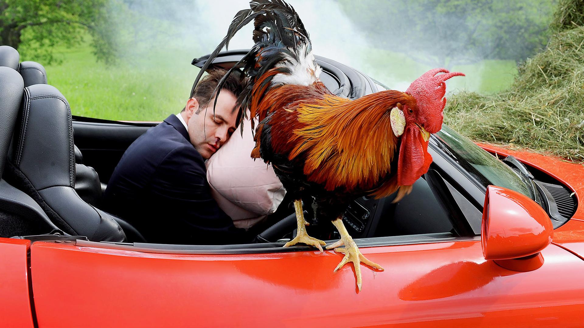 Unfall auf dem Bauernhof