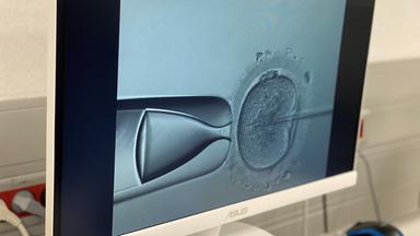 Künstliche Befruchtung