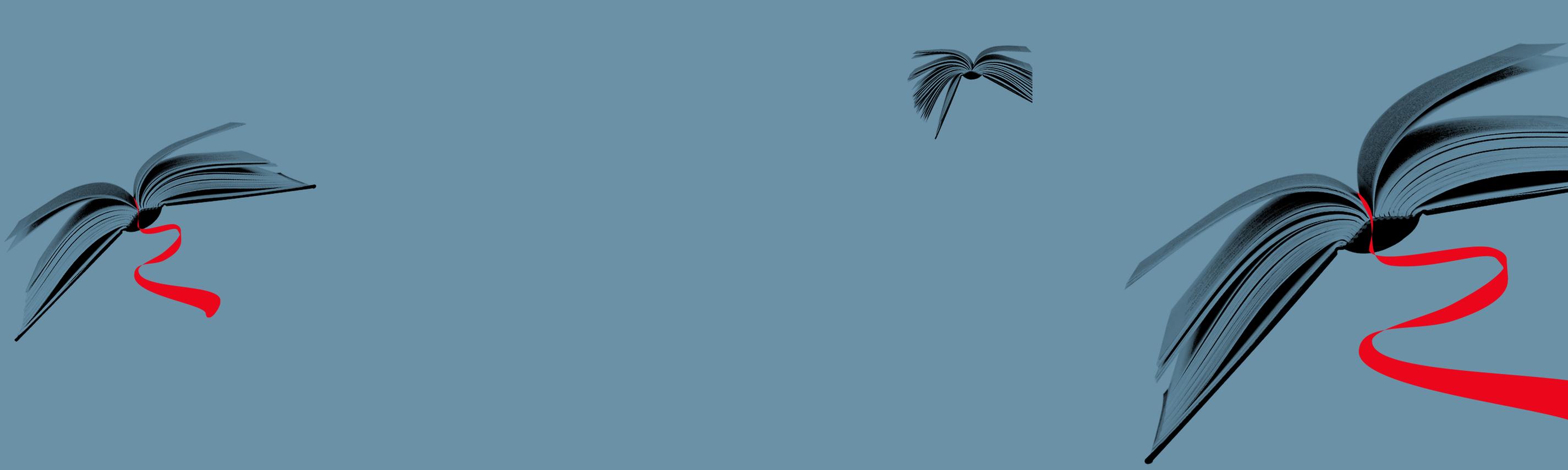 Sendebereich Hintergrund Literatur to go