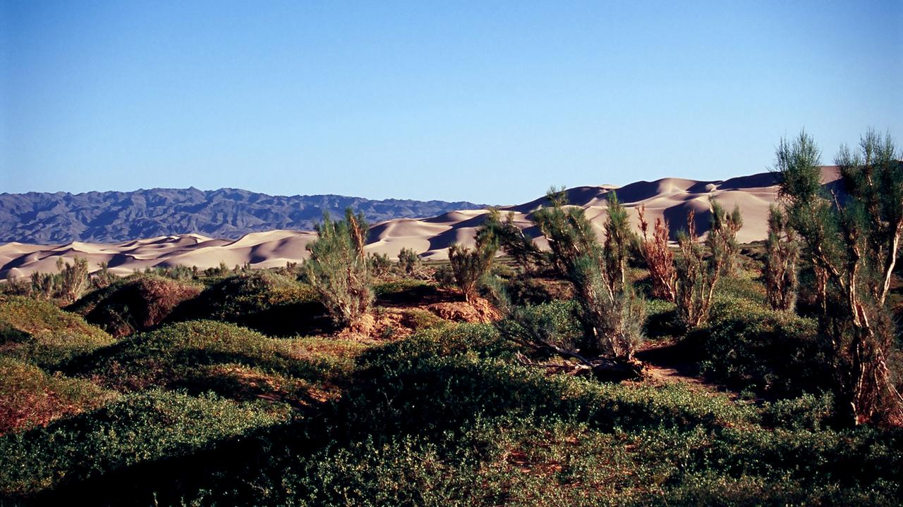 Dünen vor dem Altaigebirge.