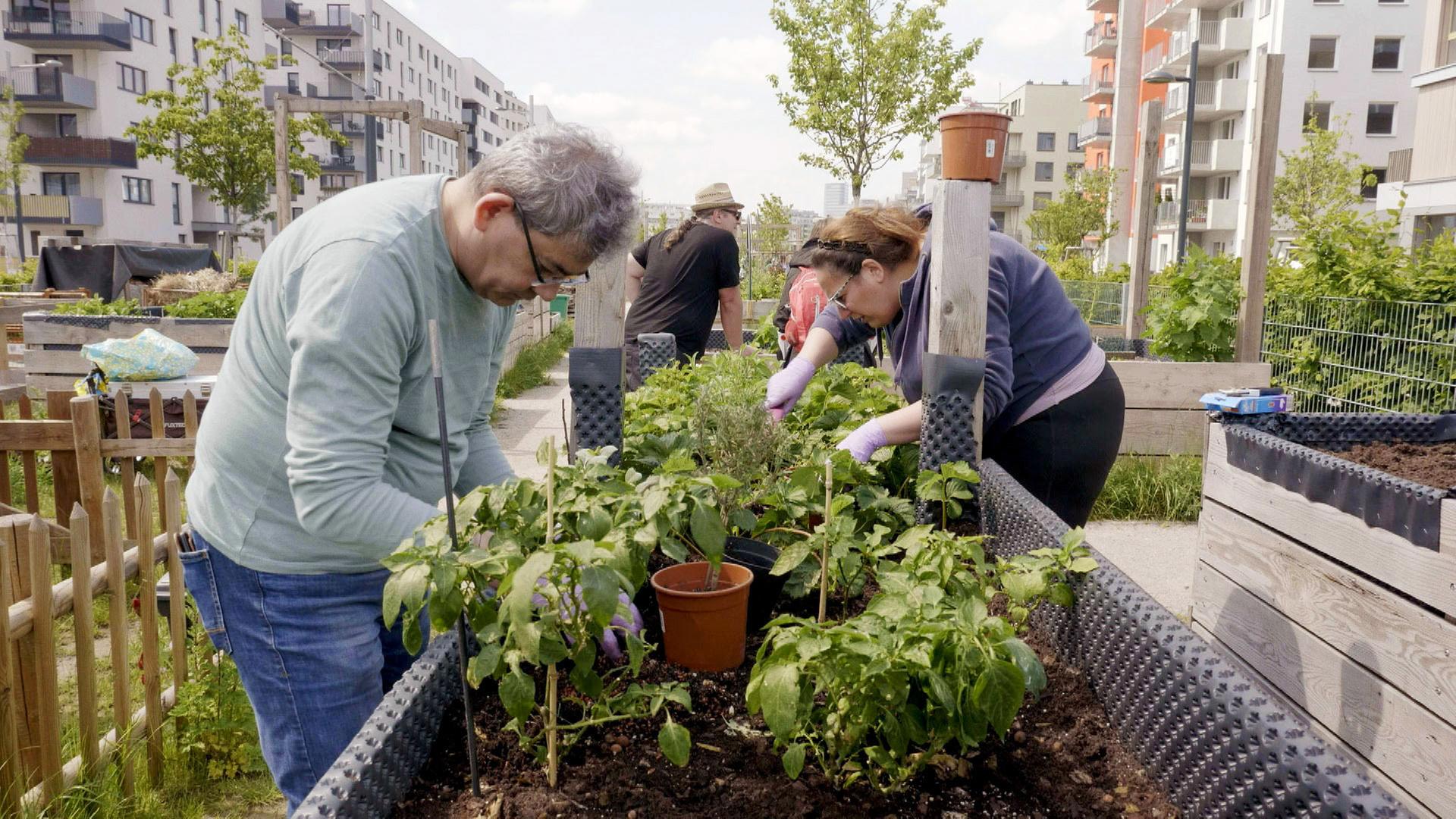 Urban Gardening Zilk Park