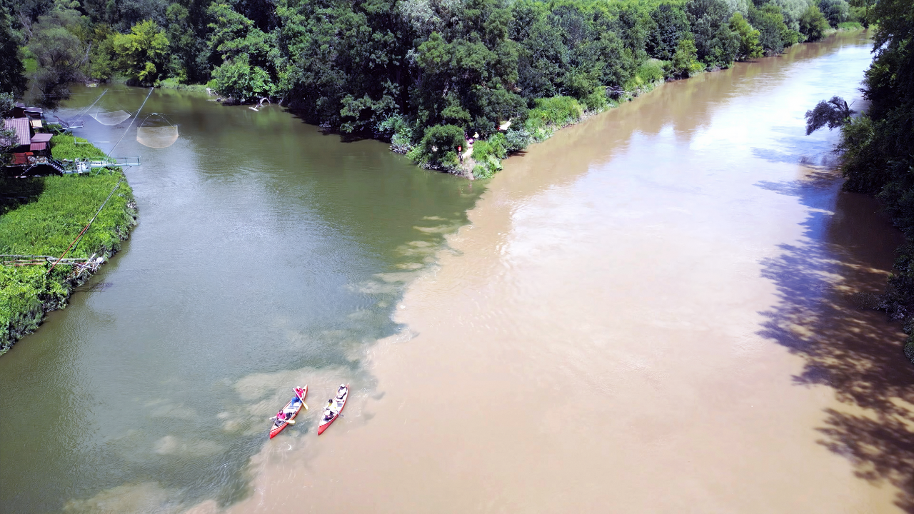 Das Bild zeigt den Zusammenfluss zweier Flüsse, wobei die Thaya in die March mündet. Auf der linken Seite erkennt man klares, grünes Wasser, während die rechte Seite trüb und bräunlich ist. In der Mitte des Bildes gibt es eine klare Grenze zwischen den beiden Wasserfarben.   Am Ufer sind teils grüne Pflanzen und Bäume zu sehen, die eine üppige Vegetation bilden. Es sind zwei Kanus im Wasser sichtbar, die von mehreren Personen gepaddelt werden. Diese verfügen über rote Rümpfe und treiben durch den Fluss.  Im Hintergrund ist eine kleine, unklare Struktur zu erkennen, möglicherweise ein Gebäude oder eine andere Art von Konstruktion, umgeben von Bäumen. Das Bild vermittelt eine natürliche und ruhige Atmosphäre, die die Schönheit der Region zwischen der Slowakei und Niederösterreich einfängt.