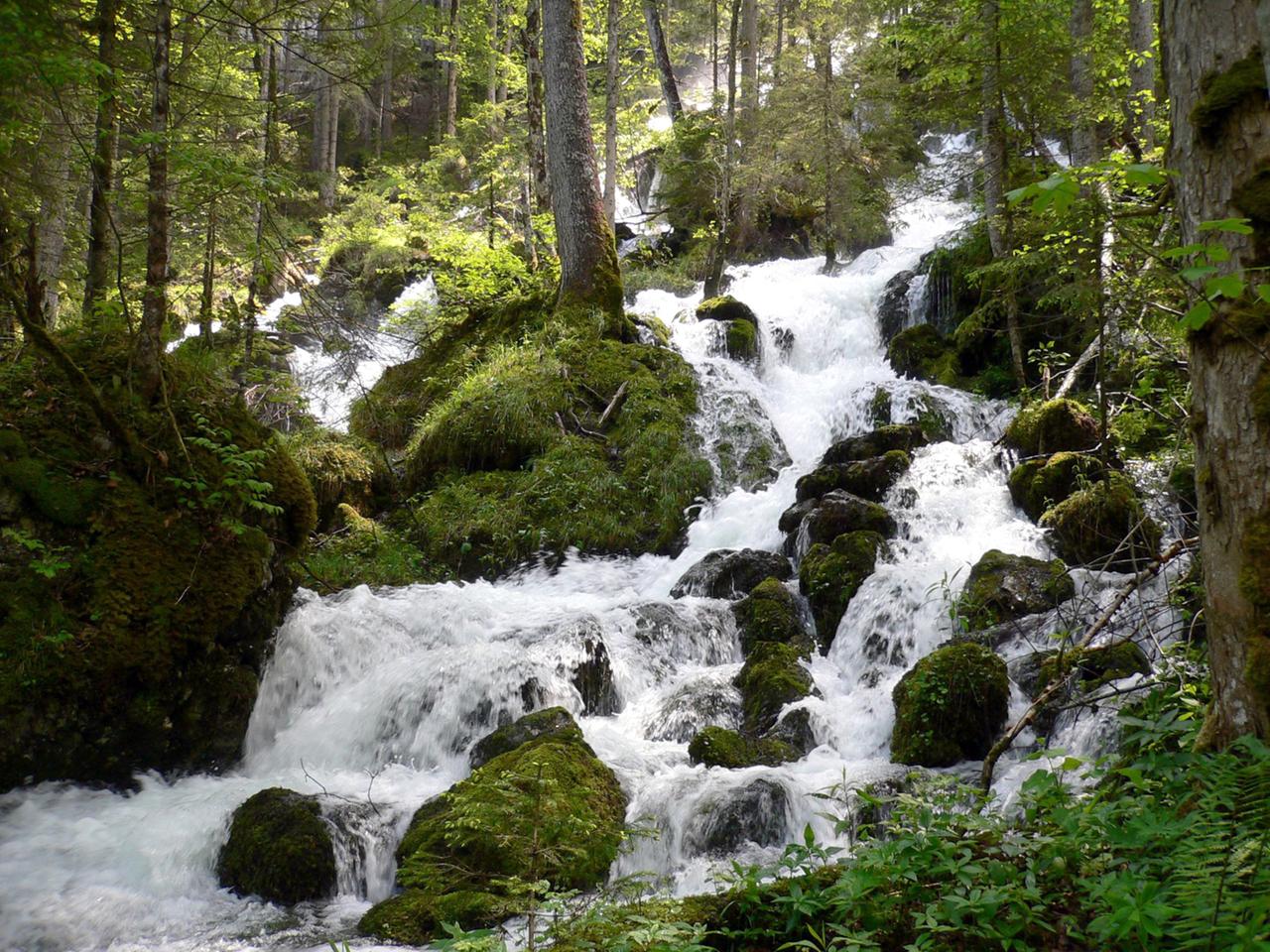  Immer zur Zeit der Schneeschmelze zeigt sich bei der Kläfferquelle ein überwältigendes Schauspiel.