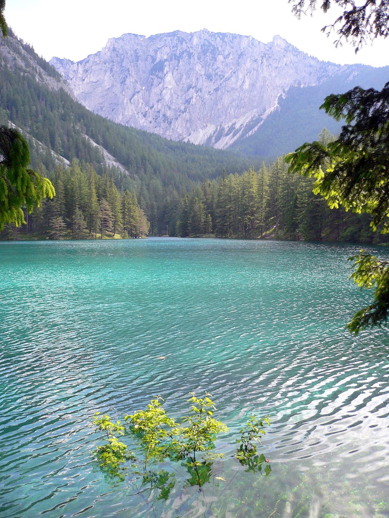  Der grüne See liegt im steirischen  Hochschwabgebiet