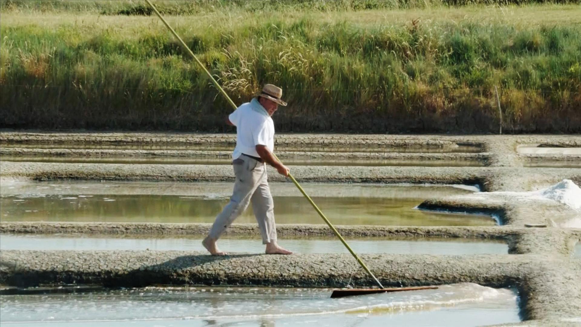 Nicolas Arnould ist Salzbauer aus Leidenschaft.