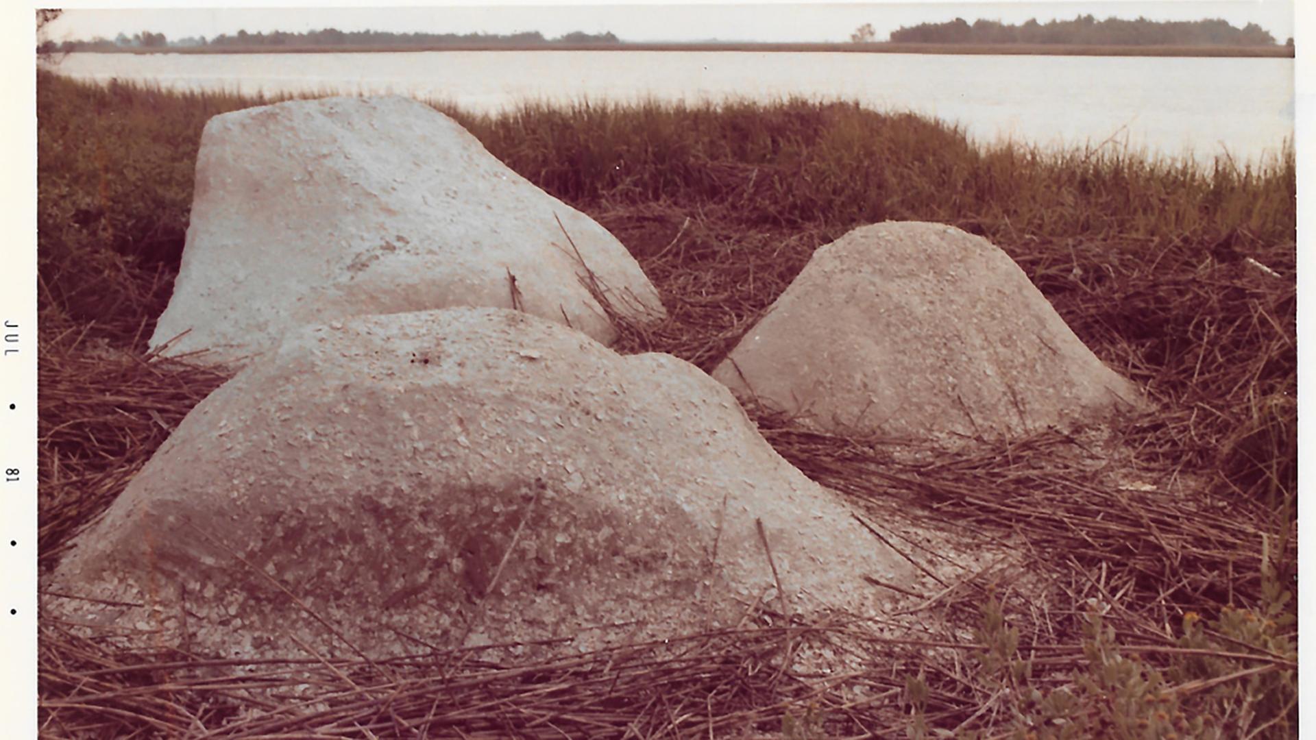 Drei felsenartige Gebilde liegen in einer Wiese an einem Fluss.
