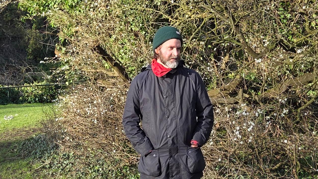 Mann steht vor Gebüsch