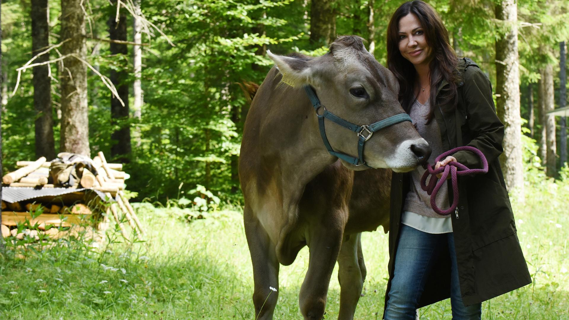 "Frühling - Mehr als Freunde": Dorfhelferin Katja (Simone Thomalla) steht auf einer Waldlichtung, hält eine Kuh am Zaumzeug fest und lächelt.