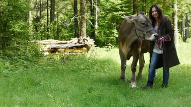 "Frühling - Mehr als Freunde": Dorfhelferin Katja (Simone Thomalla) steht auf einer Waldlichtung, hält eine Kuh am Zaumzeug fest und lächelt.
