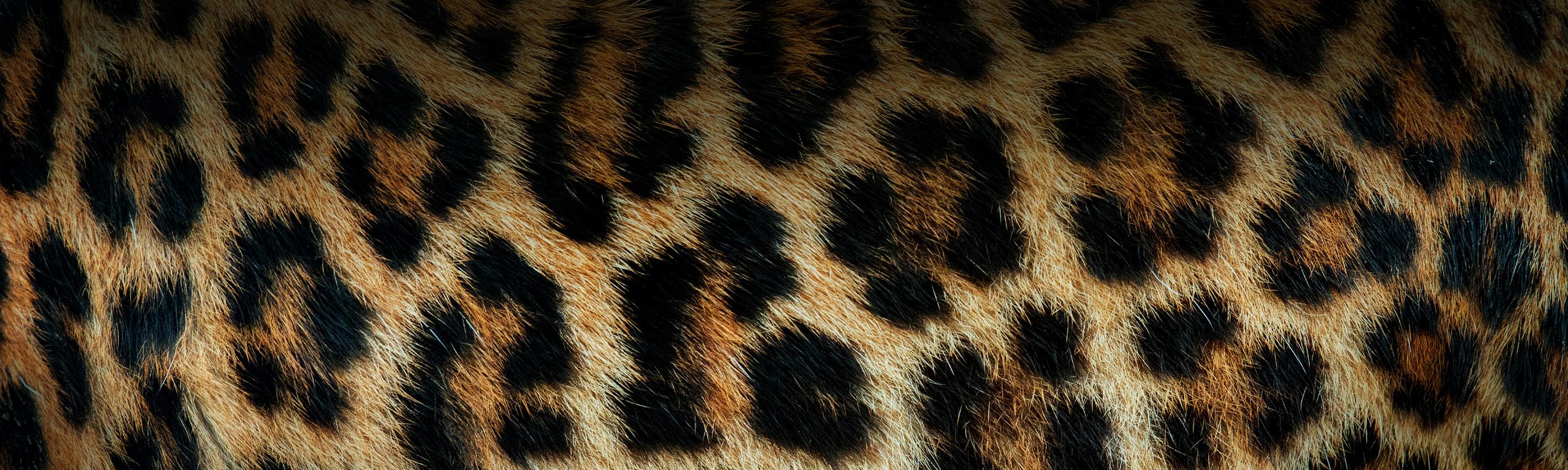 Mein Afrika Sendebereich Hintergrund