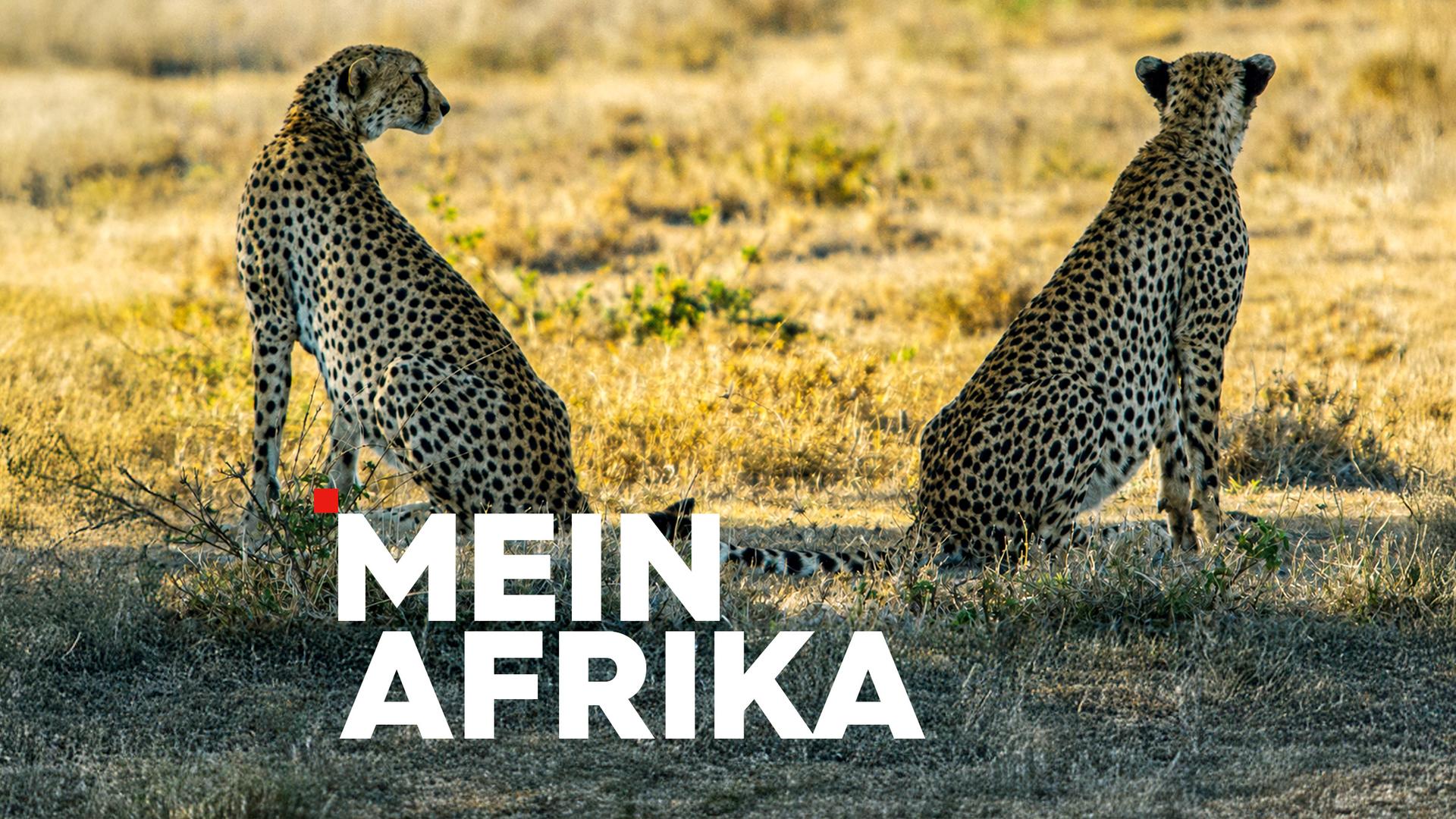 Mein Afrika Sendetypical