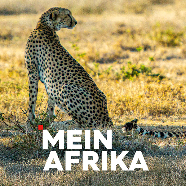 Mein Afrika Sendetypical