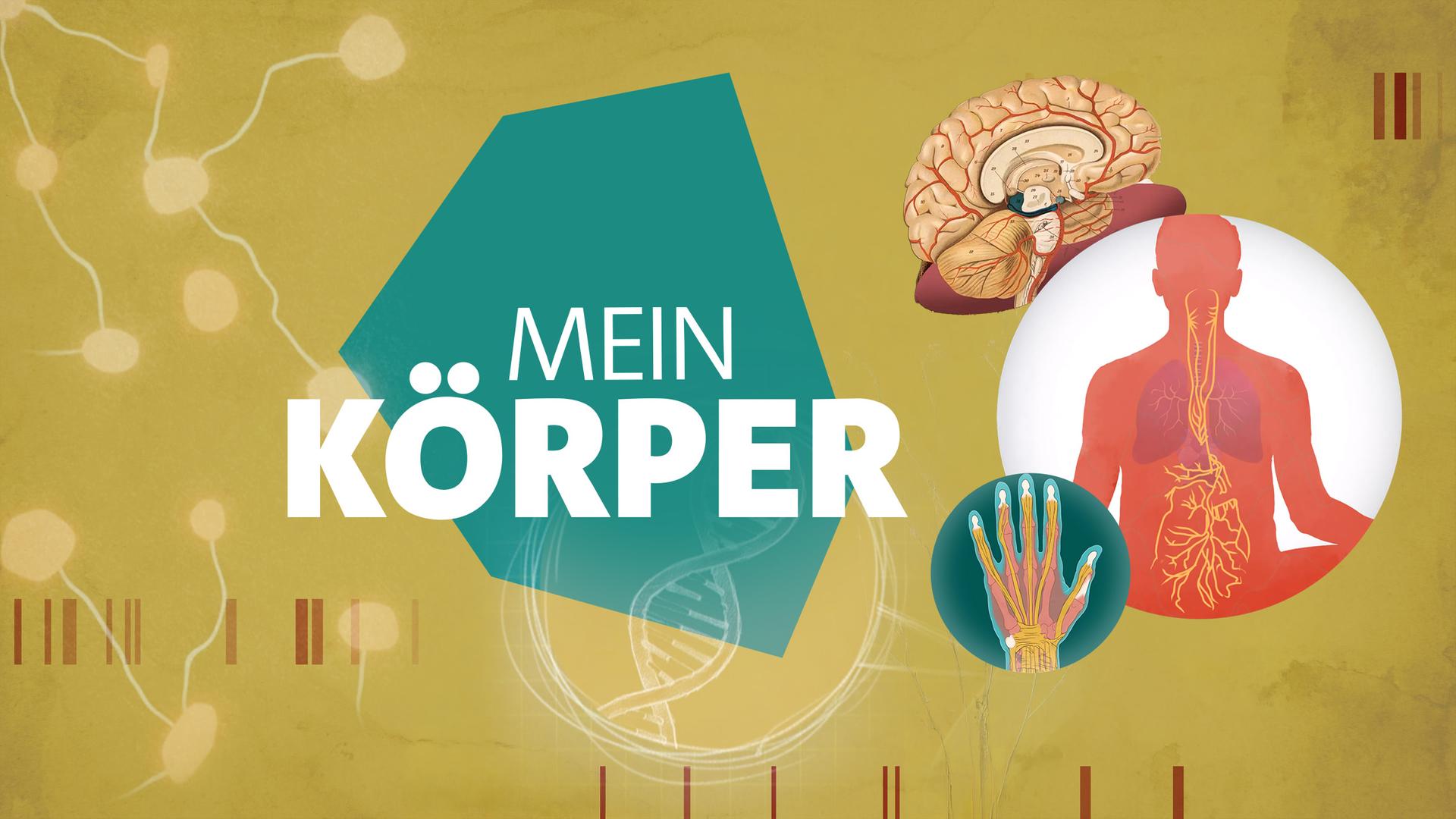 Mein Körper Sendetypical
