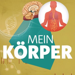 Mein Körper Sendetypical