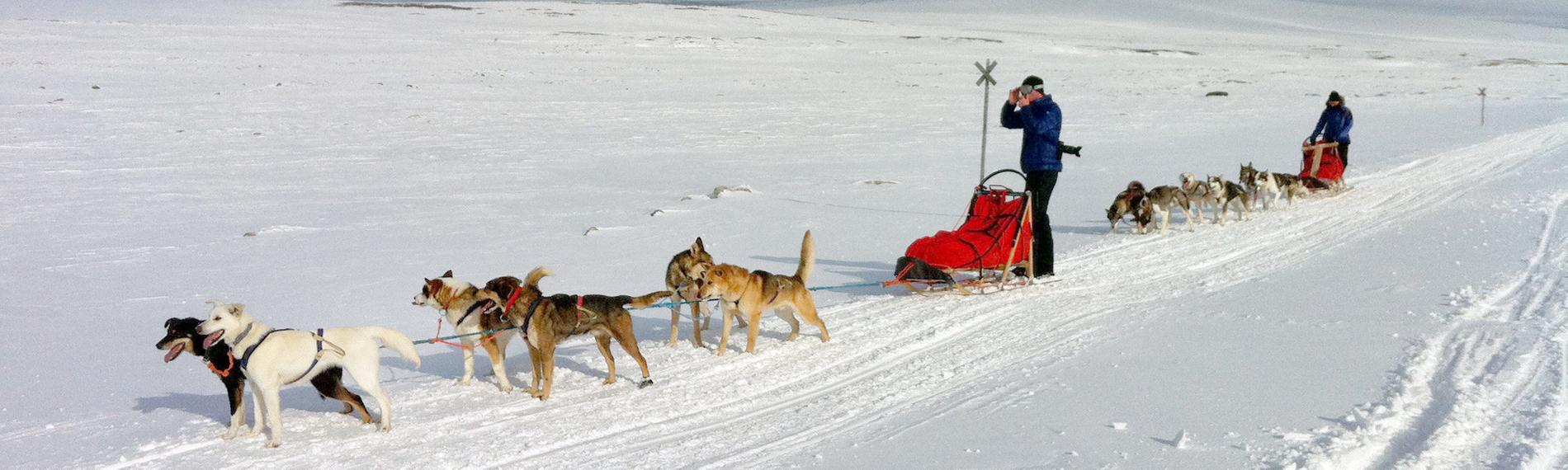 Zwei Hundeschlitten in der einsamen Winterlandschaft Lapplands.