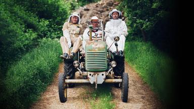 Drei Männer in hellem Imkeroutfit fahren auf einem grünen Trecker