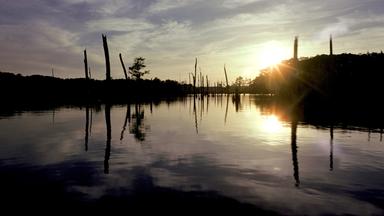 Mississippi-Sümpfe