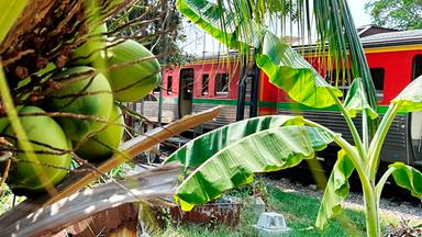 Am Golf von Thailand fahren die Dieseltriebwagen durch eine tropisch-üppige Landschaft.