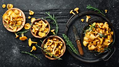 Pfifferlinge in einer Schüssel. Ansicht von oben.