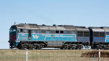 Ein Güterzug fährt vor blauem Himmel im Hintergrund. Im Vordergrund sieht man eine Wiese und ein Drahtzaun.