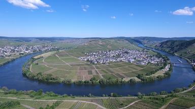 Moselschleife bei Leiwen