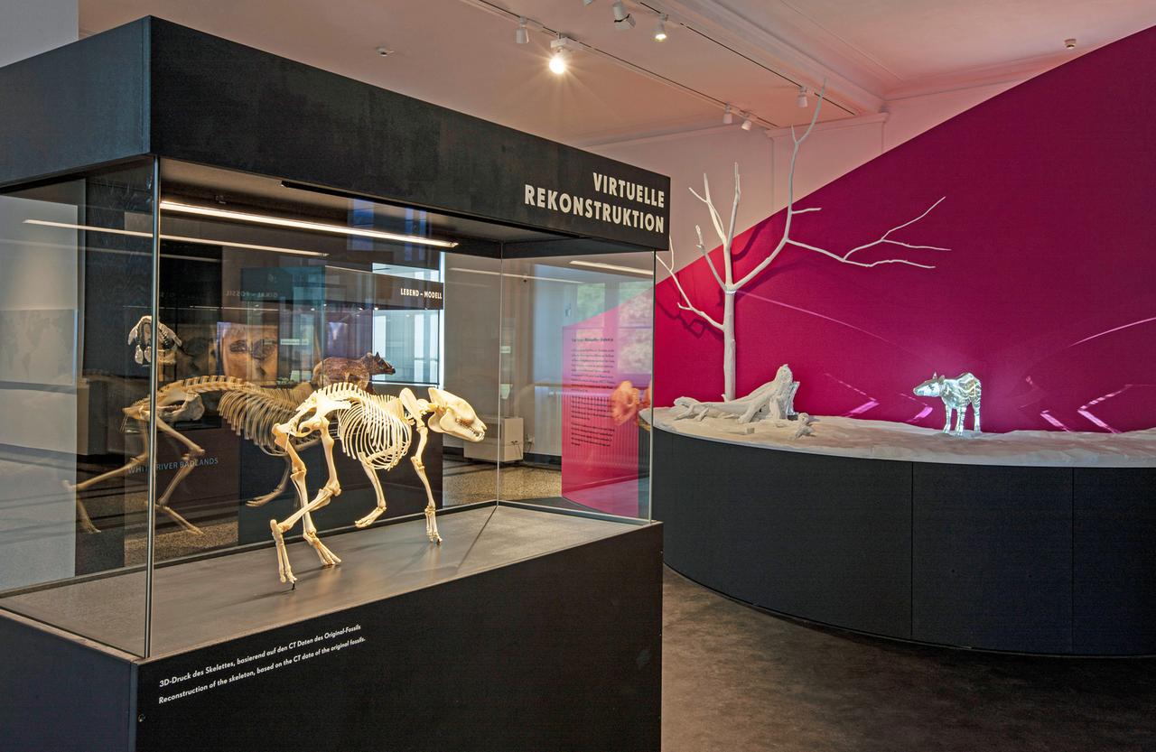 Hessisches Landesmuseum, Urpferd