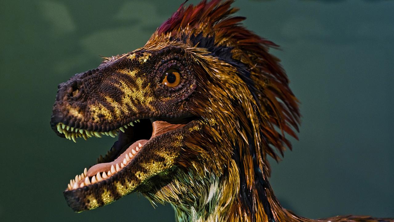 Standbild: Museums-Check mit Markus Brock