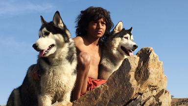 Mythos Wolfskind - Mogli und die wilden Kinder