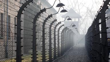 Der Stacheldraht-Zaun vor dem Konzetrationslager Auschwitz.