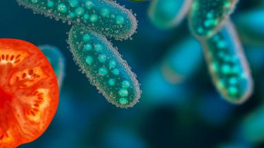 Themenhintergrund Healthy Food