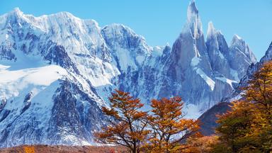 Herbstlich gefärbte Bäume vor einer eindrucksvollen Kulisse schneebedeckter spitzer Brggipfel und klarem Himmel.