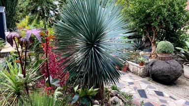 Natur Im Garten 3sat Mediathek