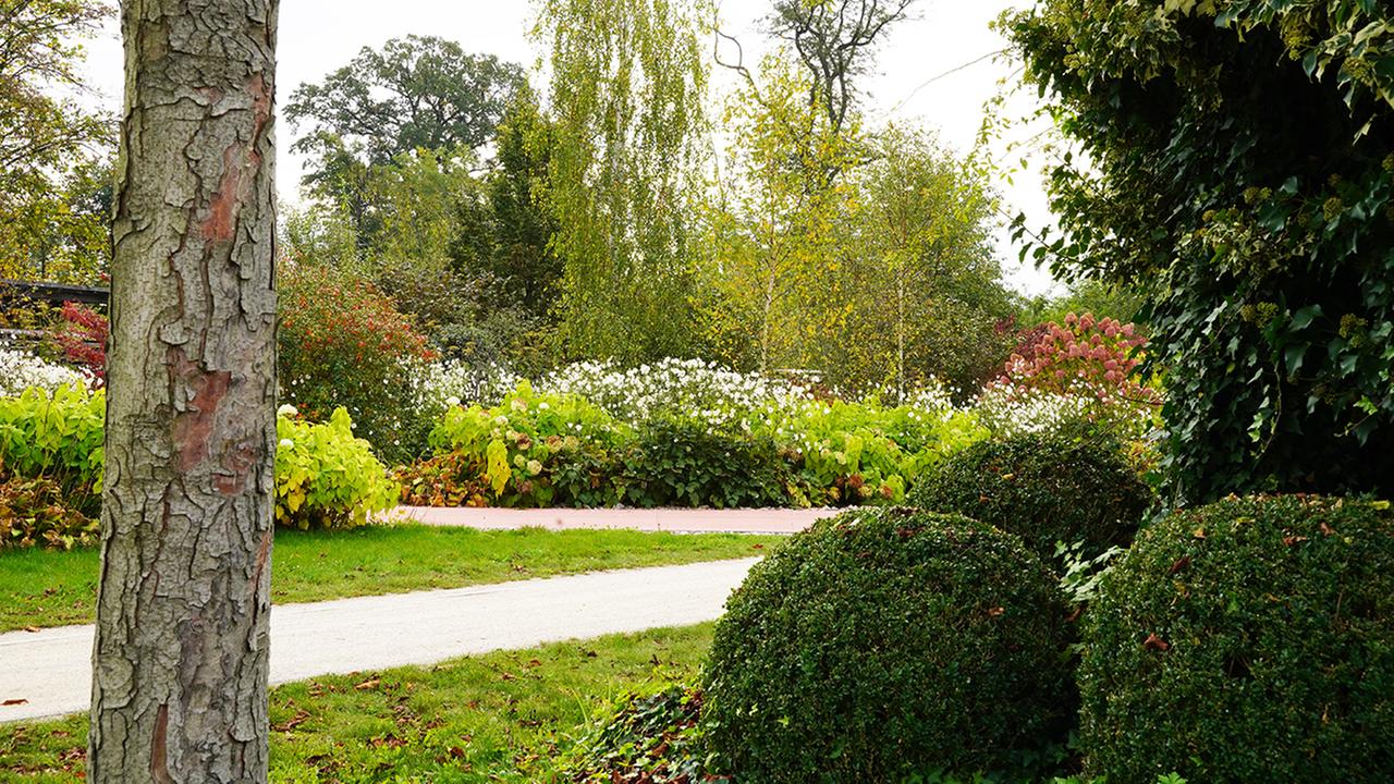 Natur Im Garten 3sat Mediathek