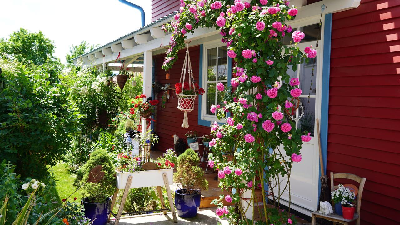 Natur Im Garten 10 10 Die Krauterhexe Im Burgenland 3sat Mediathek