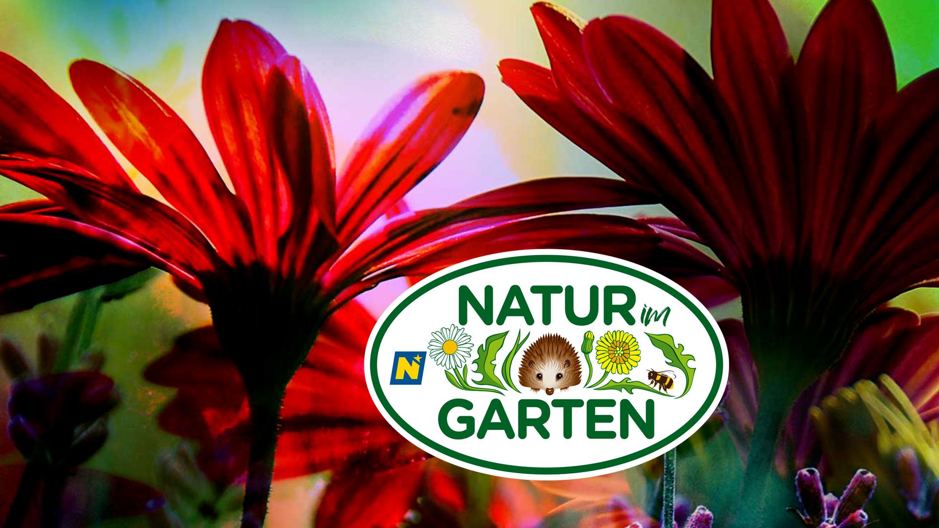 Natur im Garten Sendetypical 2400x1350 16zu9