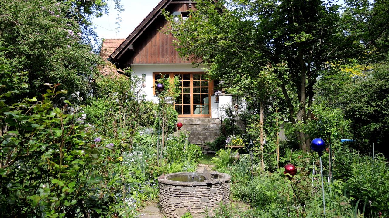 Natur Im Garten Die Poesie Eines Waldgartens 3sat Mediathek