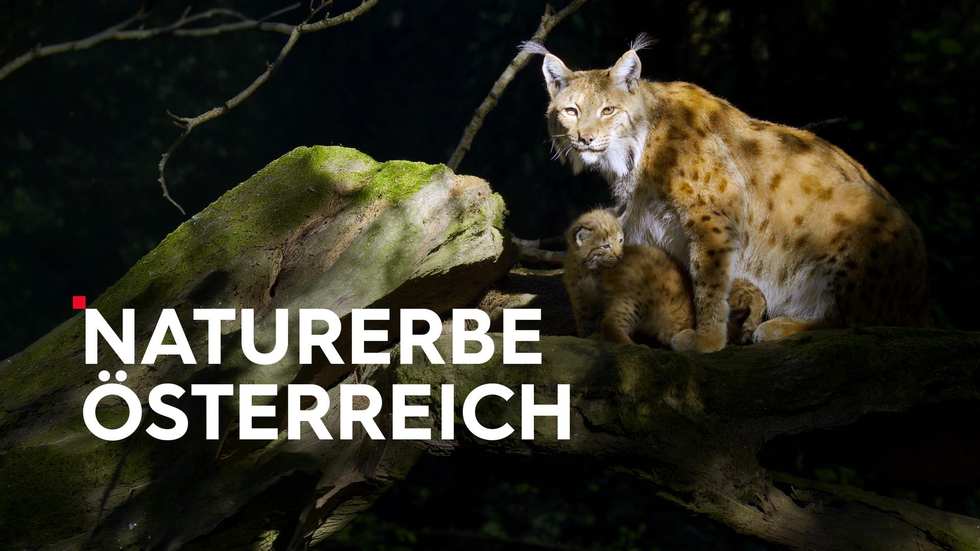 Naturerbe Österreich Sendetypical
