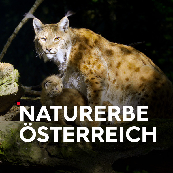 Naturerbe Österreich Sendetypical