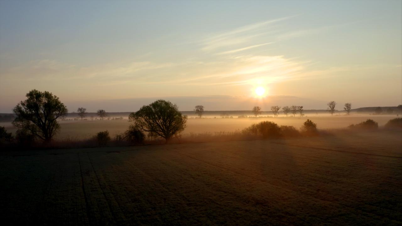 Nationalpark Neusiedler See - Seewinkel.