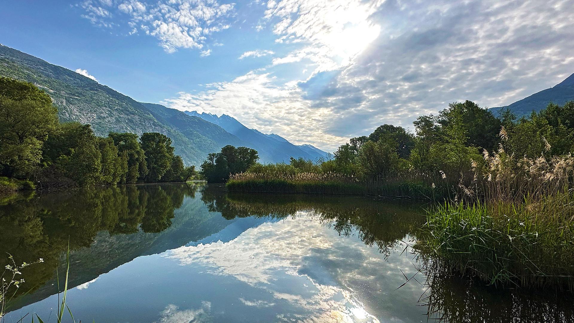 Das Leukerfeld im Naturpark Pfyn-