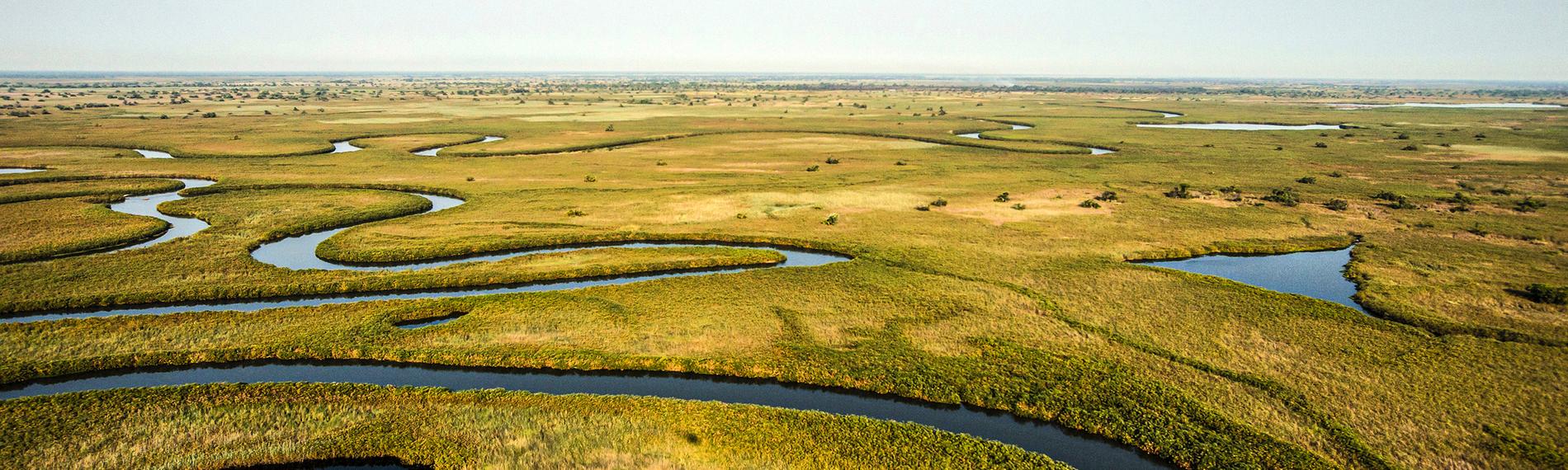 Luftaufnahme des Flusses Okawango, der sich durchs Schilf schlängelt.