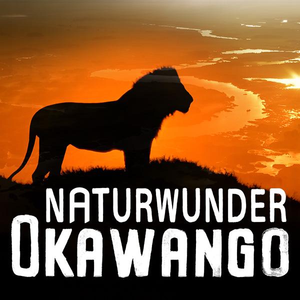Naturwunder Okawango Sendetypical