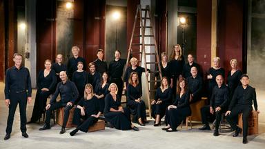 Sängerinnen und Sänger des NDR Vokalensembles sitzen lächelnd in einem Raum rund um eine Leiter.