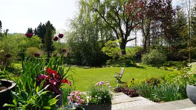 Ein blühender Garten mit Biotop, Staudenbeeten und gepflegtem Rasen.