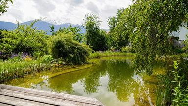 ein Gartenteich, eine Holzbank im Hintergrund Berge